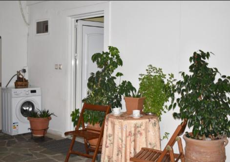 Zoe'S Apartment Bright&Cozy Αθήνα Εξωτερικό φωτογραφία