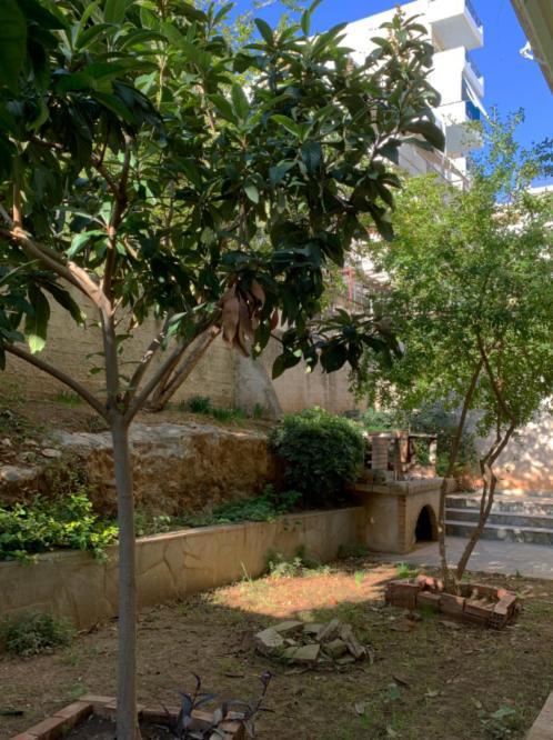 Zoe'S Apartment Bright&Cozy Αθήνα Εξωτερικό φωτογραφία