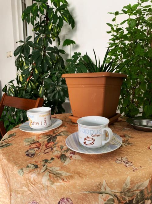Zoe'S Apartment Bright&Cozy Αθήνα Εξωτερικό φωτογραφία